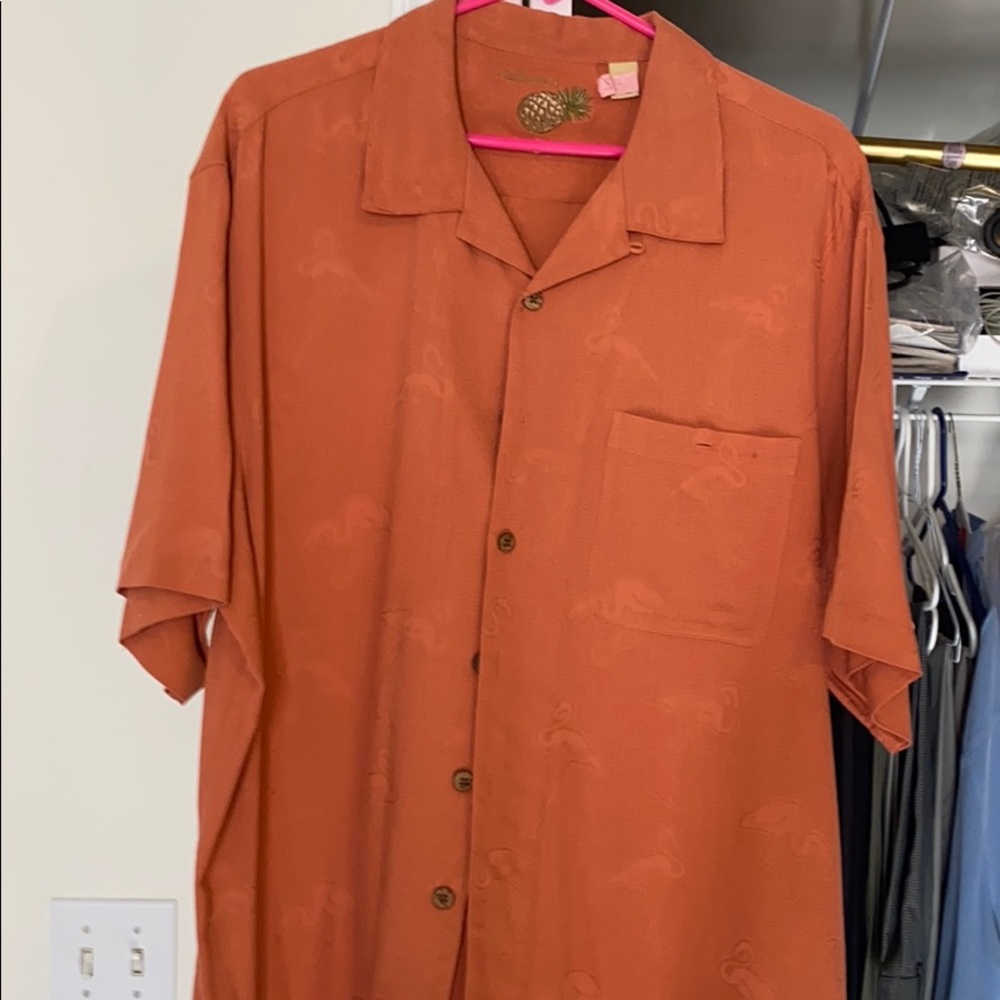 Shirts - Picture 7 of 9